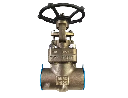 Gate Valve